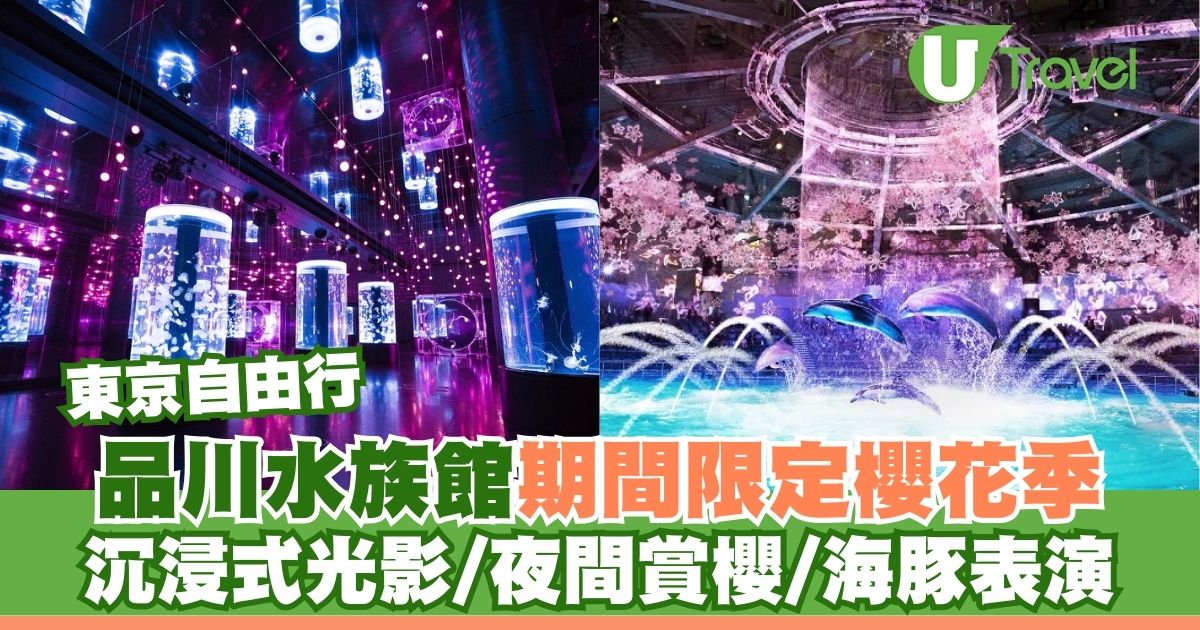 东京品川水族馆樱花季：光影艺术，夜间赏樱，海豚表演，一站式服务包含门票、交通、预约方法