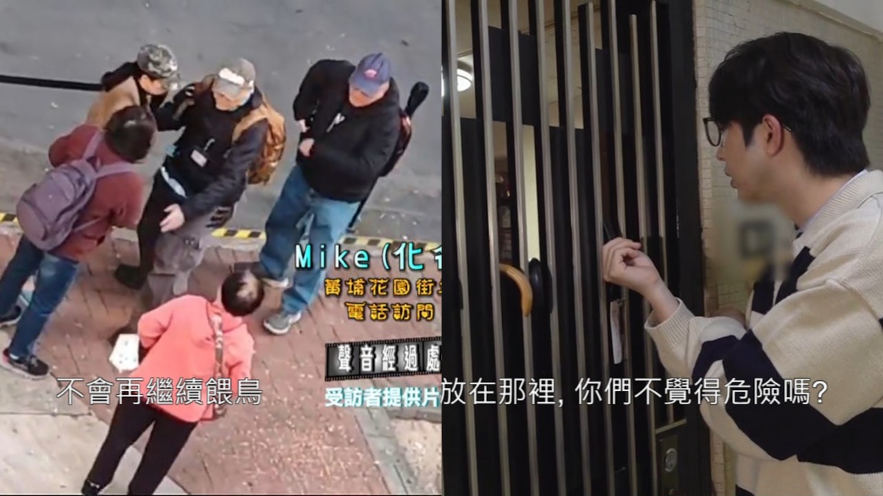 街坊驚禽流感｜政府冇人理 非法餵鴿引發不安