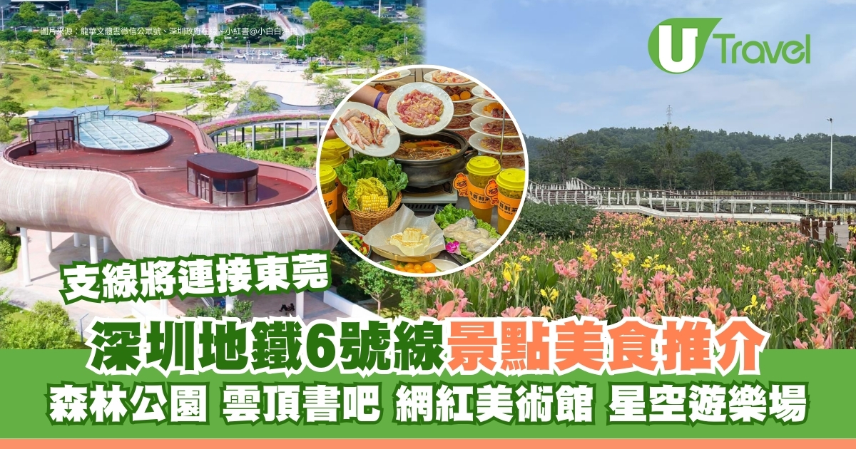 深圳地铁6号线美食与景点推荐：沿线十大热门景点包含光明区 ｜ 森林公园、云顶书吧、网红美术馆