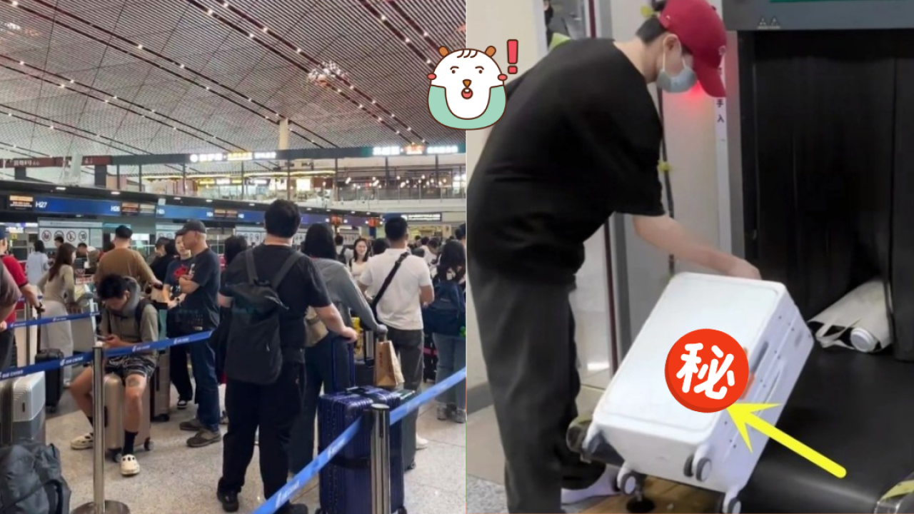 行李箱贴错颜色标签罚款2千！入境被拦截风险大！行李牌标避免！