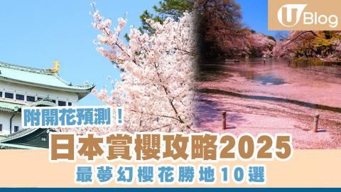 2025年最精彩的日本樱花赏樱指南：Top 10樱花胜地及最新开花预测！