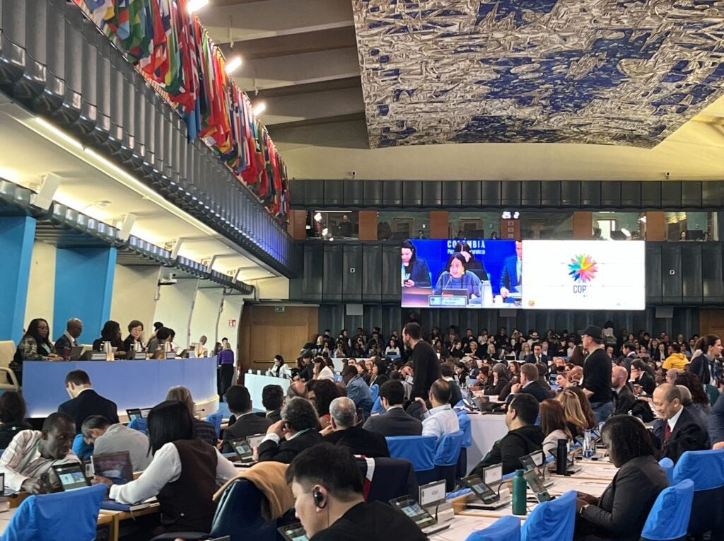 CBD COP16：建立信任与共识，助力生物多样性融资突破