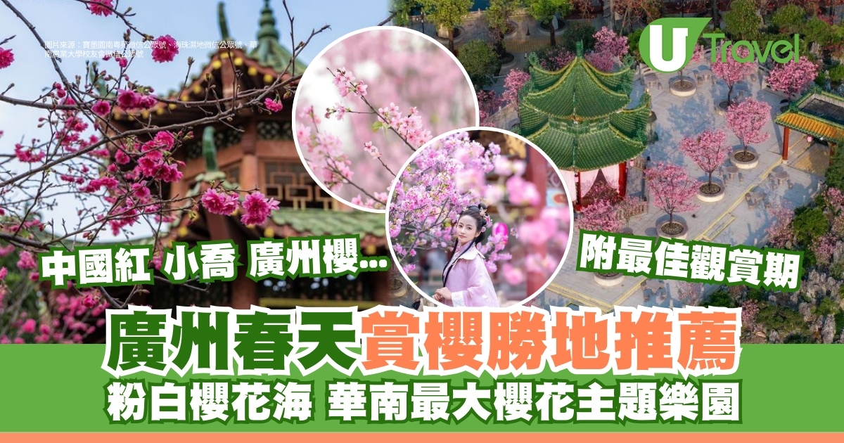 广州樱花赏花攻略｜6大赏花胜地推荐最佳赏花期｜华南最大樱花乐园让您沉浸花海