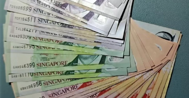 新加坡：新一轮补贴来了！老人小孩都有份