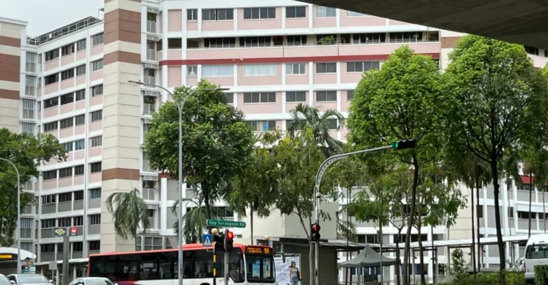 新加坡组屋转售市场：增速放缓下的百万交易热潮