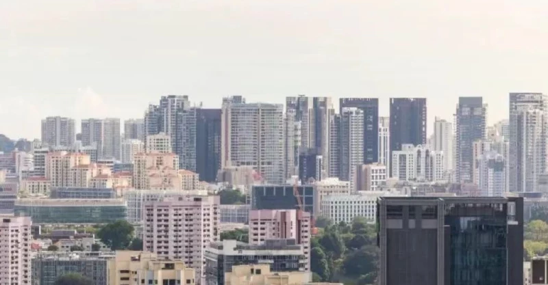 新加坡私人资产交易：单一持有率为何持续上升？